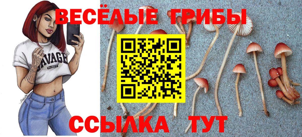 Мыски  Псилоцибиновые грибы ЛСД  Вход с VPN 