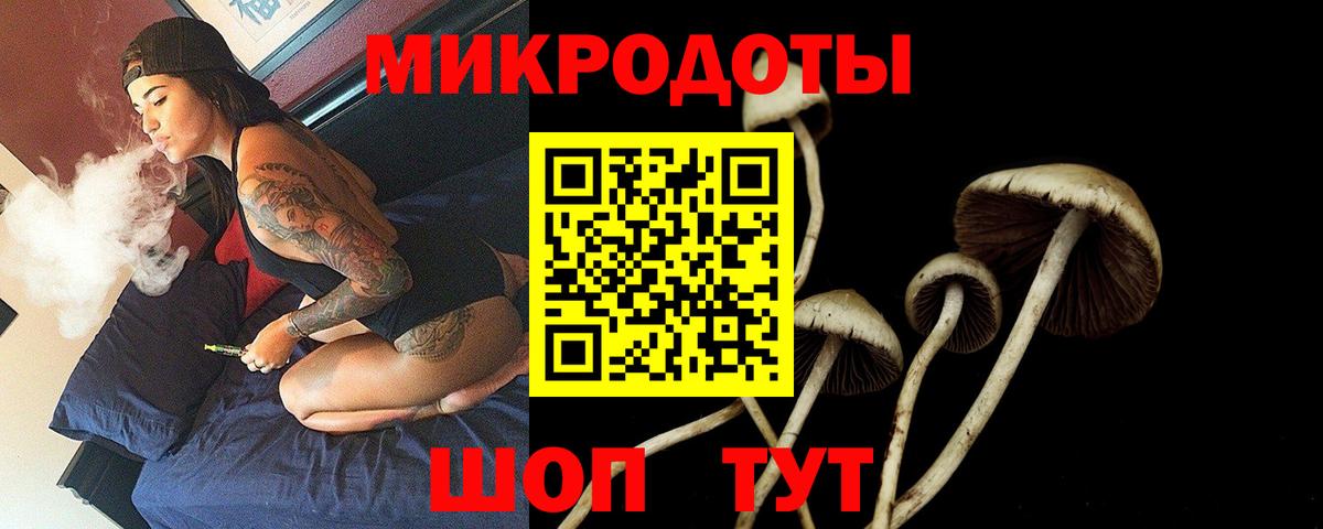 Псилоцибиновые грибы прущие грибы Мыски